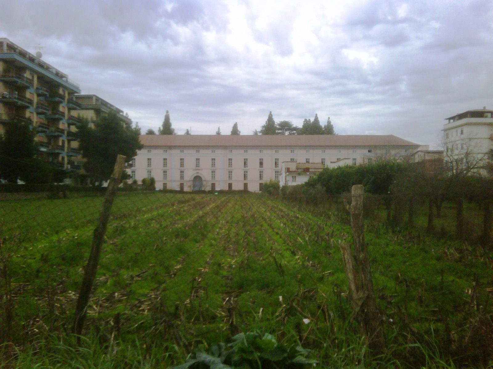 Roberta-prospetto ospedale.jpg